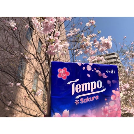 【香港☆Tempo】2023年 桜・SAKURA☆香り付き 18pcs / 1パック #303301N