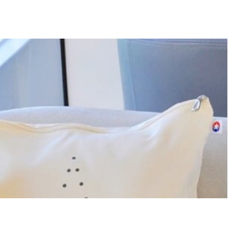 ☆リクエストアイテム☆【香港☆Star Ferry】125周年紀念 「星星 x 綠白色雙面咕臣套」  / 両面クッション  #R311193N