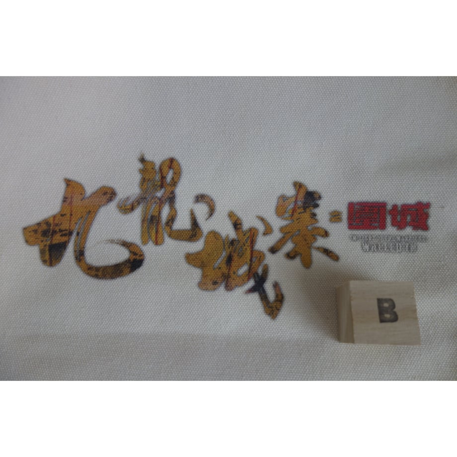 6809dddd20d2990069c94bbb