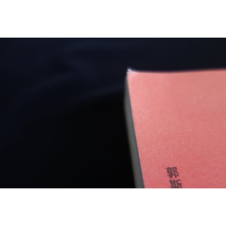 ＜訳あり＞<躍雨文庫>【霓虹黯色 /  郭斯恆　著】超♡おすすめします！香港ネオンサイン  /  香港街道・視覺文化記録  ｐ349  #2403S32