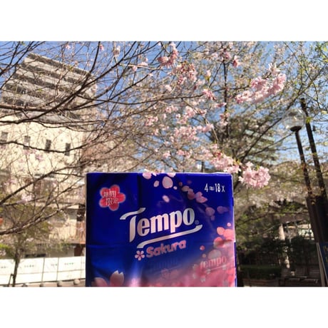 【香港☆Tempo】2023年 桜・SAKURA☆香り付き 18pcs / 1パック #303301N