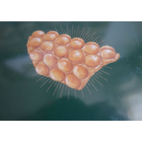 <躍雨文庫>【香港雞蛋仔☆點子出版】點子設計室×點子編輯室  /  HONG KONG EGG WAFFLEPEDIA  p192  #3012126N