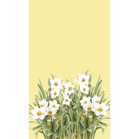 🉐＜予約商品＞手描き水彩画☆【香港 ☆ Bymamalaterre】「🉐３種類＋New1種類」 ＜Tea Towel＞  /　#R602264S