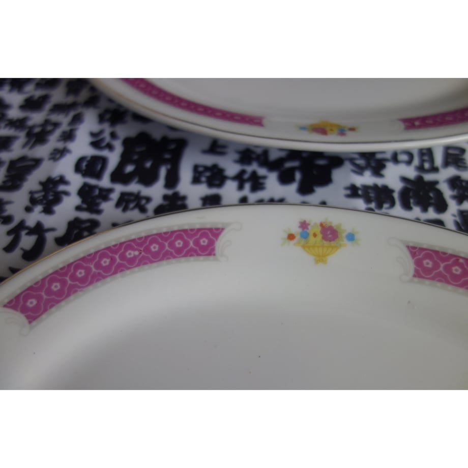 66d2ff96589ed627c8e300a3