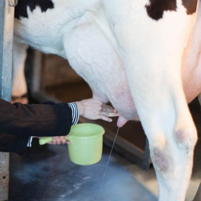 えのぼくミルク三昧 6個セット | 榎本牧場