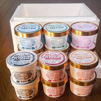 定番ジェラート　12個セット