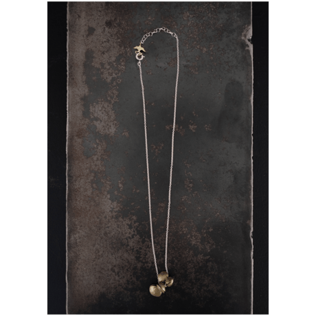 ヤマノイモのタネ　2粒　brass necklace