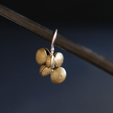 ヤマノイモのタネ　2粒　brass pierce （片耳）