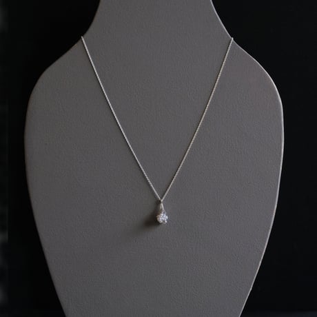 ヒョウタンバナ　Necklace