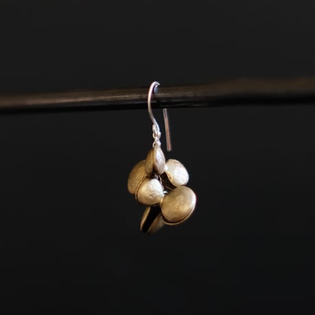 ヤマノイモのタネ　2粒　brass pierce （片耳）