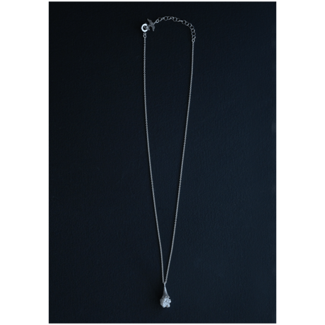 ヒョウタンバナ　Necklace