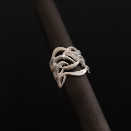 RANMA ring -Nami1-