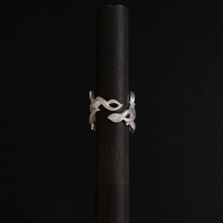 RANMA ring -Nami1-