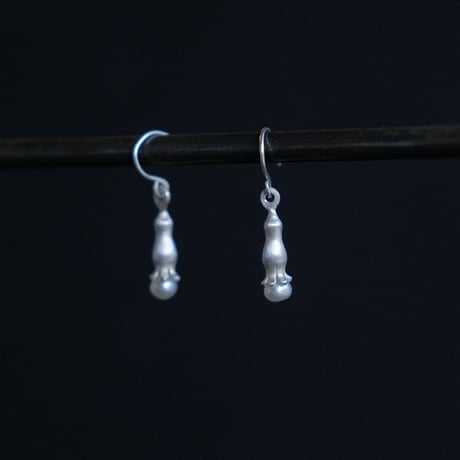 ワニグチソウ　Pierce