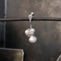 ヤマノイモのタネ2粒 earing （片耳）
