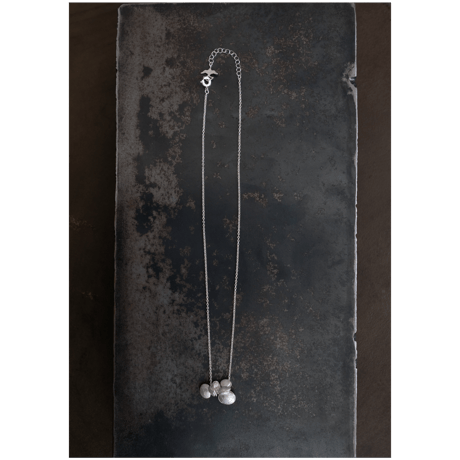 ヤマノイモのタネ　2粒　silver necklace