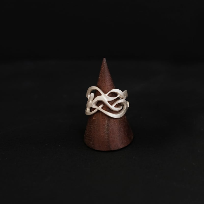 リングス総集編 THE RING of RINGS〈2枚組〉 リングス総集編 THE