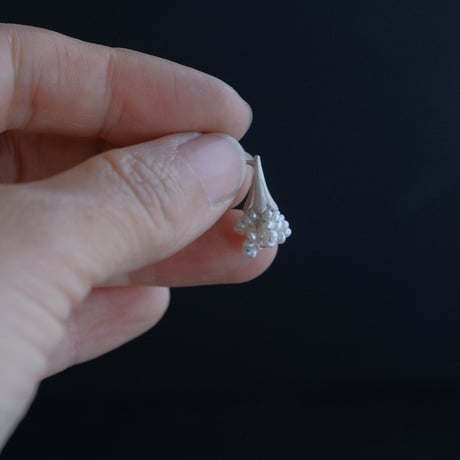 ヒョウタンバナ　Pierce