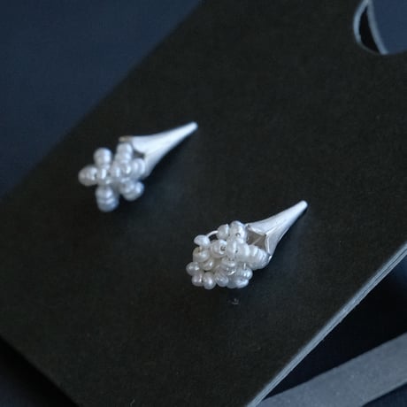 ヒョウタンバナ　Pierce