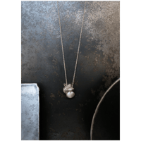 ヤマノイモのタネ　2粒　silver necklace