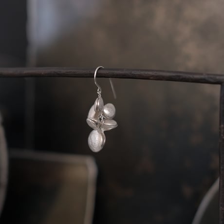 ヤマノイモのタネ　2粒　silver pierce （片耳）