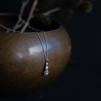 ワニグチソウ　Necklace
