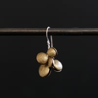 ヤマノイモのタネ　2粒　brass pierce （片耳）