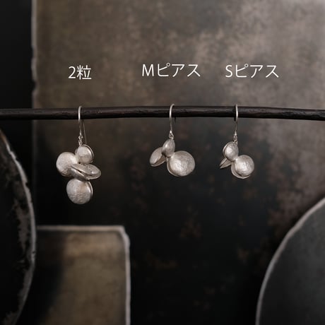 ヤマノイモのタネ　2粒　silver pierce （片耳）