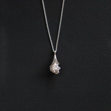ヒョウタンバナ　Necklace