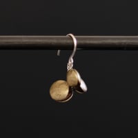 ヤマノイモのタネ S brass pierce （片耳）