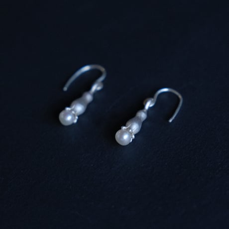 ワニグチソウ　Pierce