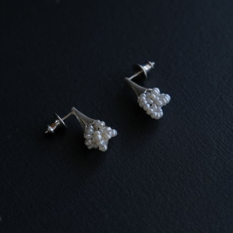 ヒョウタンバナ　Pierce