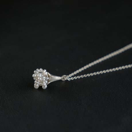 ヒョウタンバナ　Necklace