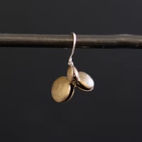 ヤマノイモのタネ M brass pierce （片耳）