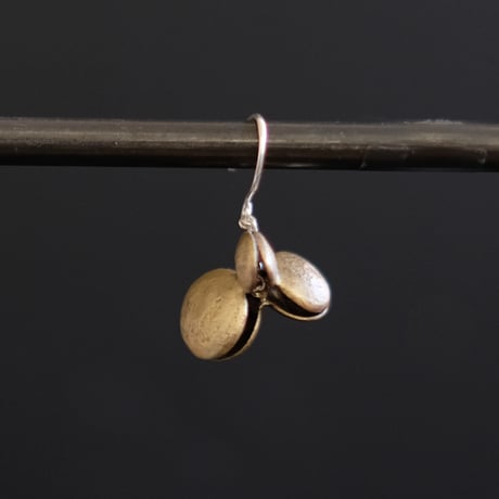 ヤマノイモのタネ M brass pierce （片耳）