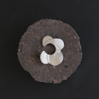 Petal　silver earcuff