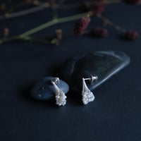 ヒョウタンバナ　Pierce