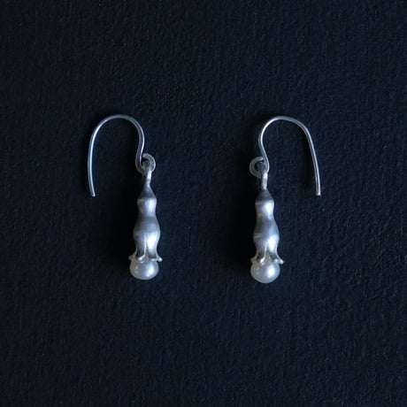 ワニグチソウ　Pierce