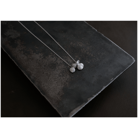 ヤマノイモのタネ　2粒　silver necklace