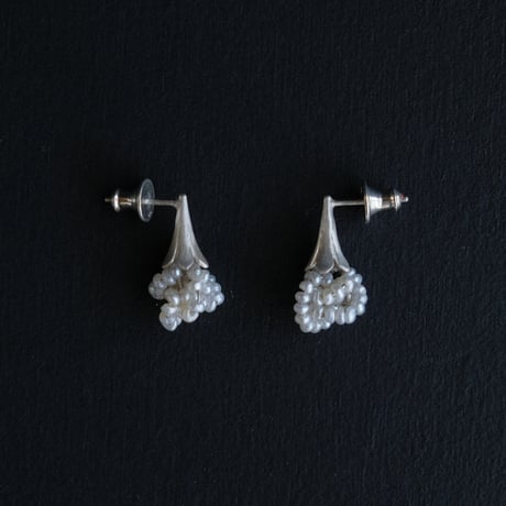ヒョウタンバナ　Pierce