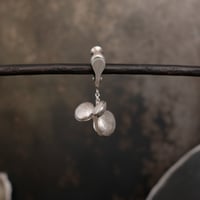 ヤマノイモのタネ M earing　（片耳）