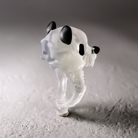 PANDAskull / RING