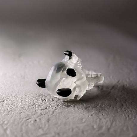 PANDAskull / RING
