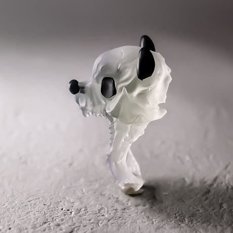 PANDAskull / RING