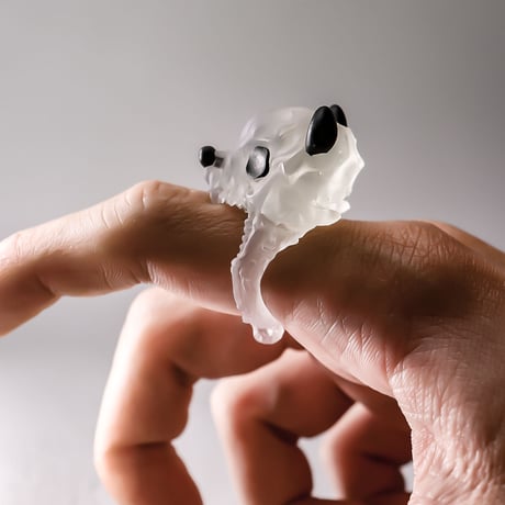 PANDAskull / RING