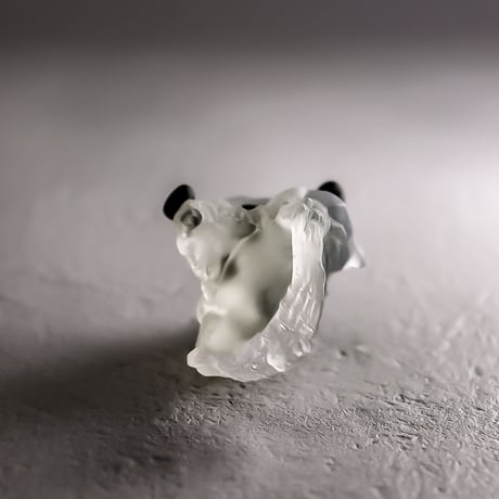 PANDAskull / RING
