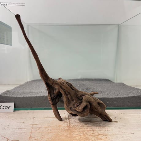 CATEGORY 流木（全種類） | 流木専門店のアクアリバー/アクアリウム