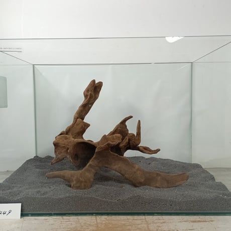 CATEGORY Lサイズ | 流木専門店のアクアリバー/アクアリウム