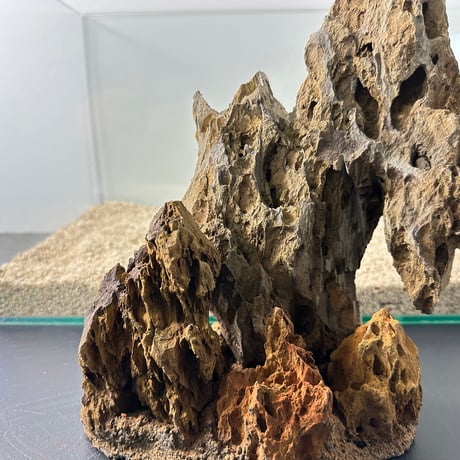 気孔石山（美型） 一点物の水槽オブジェ No. 5072  (45cm水槽)(W約20cm/H約28cm)
