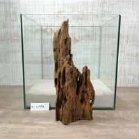 希少山型流木   Mサイズ　オンリーワン ★現物撮影  1点　No.1796(W約27㎝）  ★★オブジェ、インテリアにも★★